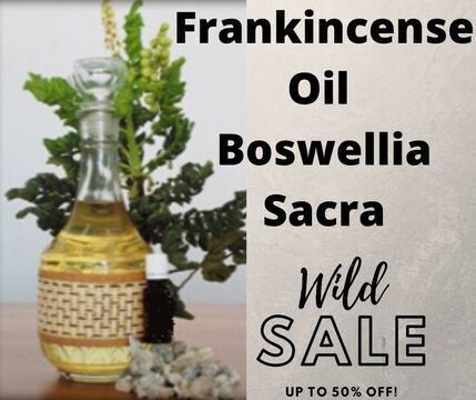Frankincense Essential Oil Frankincense-Essential-Oil-Oman